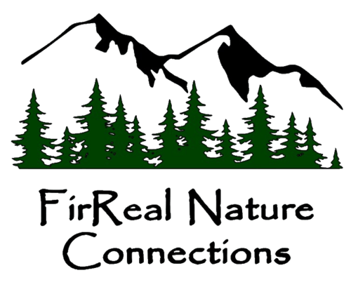 Transparent background logo-1