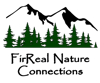 Transparent background logo-1