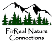 FirReal Nature Connections Logo