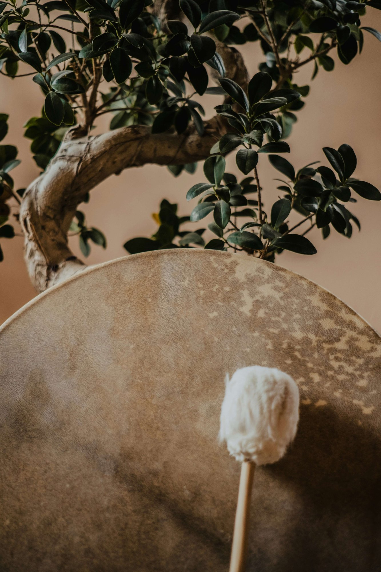 Shamanic hand drum, beater with a tree